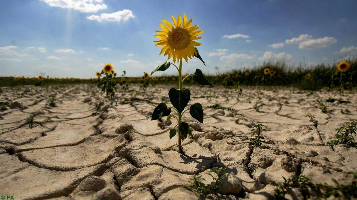 В Украине заявили об угрозе нехватки воды из-за аномально теплой зимы В Украине заявили об угрозе нехватки воды из-за аномально теплой зимы