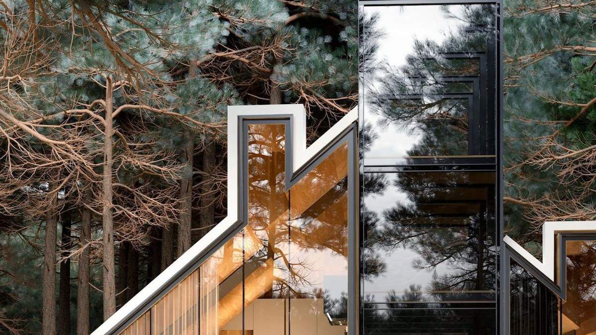 Грайливість поміж сосен / Фото My Modern Met Грайливість поміж сосен / Фото My Modern Met