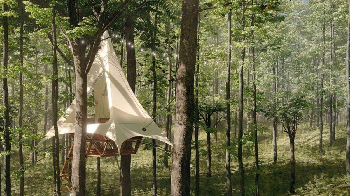 Недвижимость на дереве / Фото Inhabitat Недвижимость на дереве / Фото Inhabitat