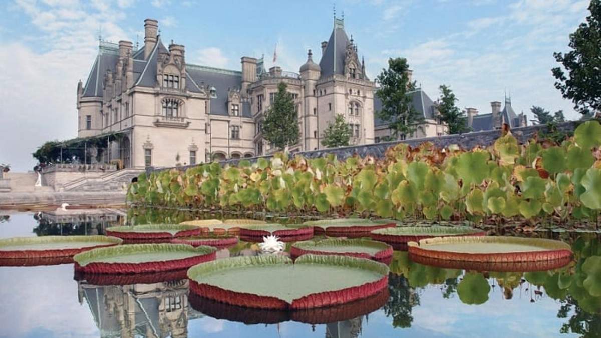 Дім багатенького Річі / Фото Fancy pants homes Дім багатенького Річі / Фото Fancy pants homes
