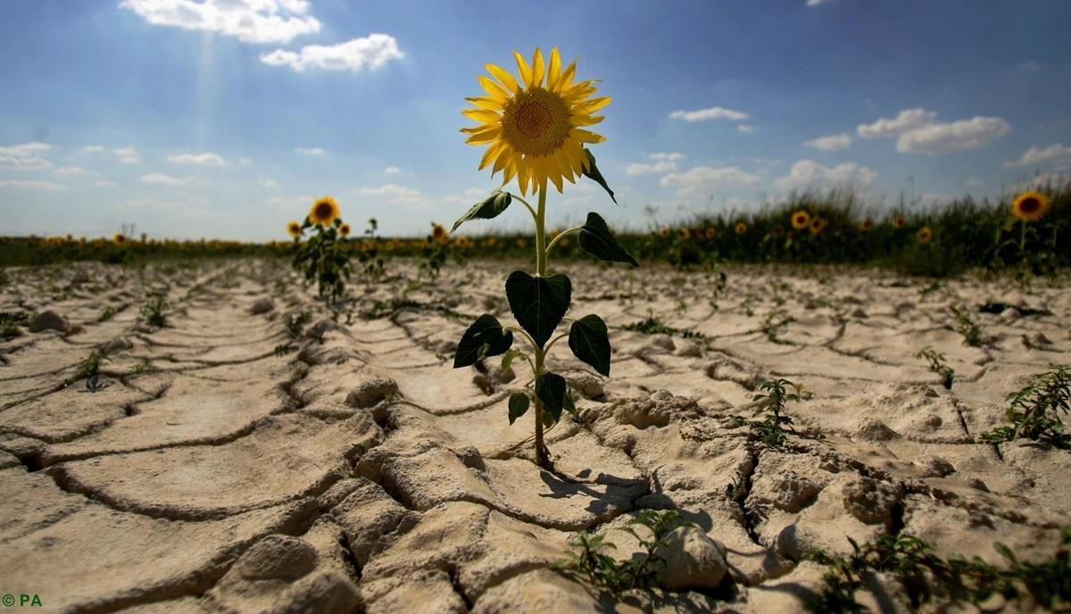 Из-за аномально теплой зимы украинцам могут ограничить использование воды: детали Из-за аномально теплой зимы украинцам могут ограничить использование воды: детали