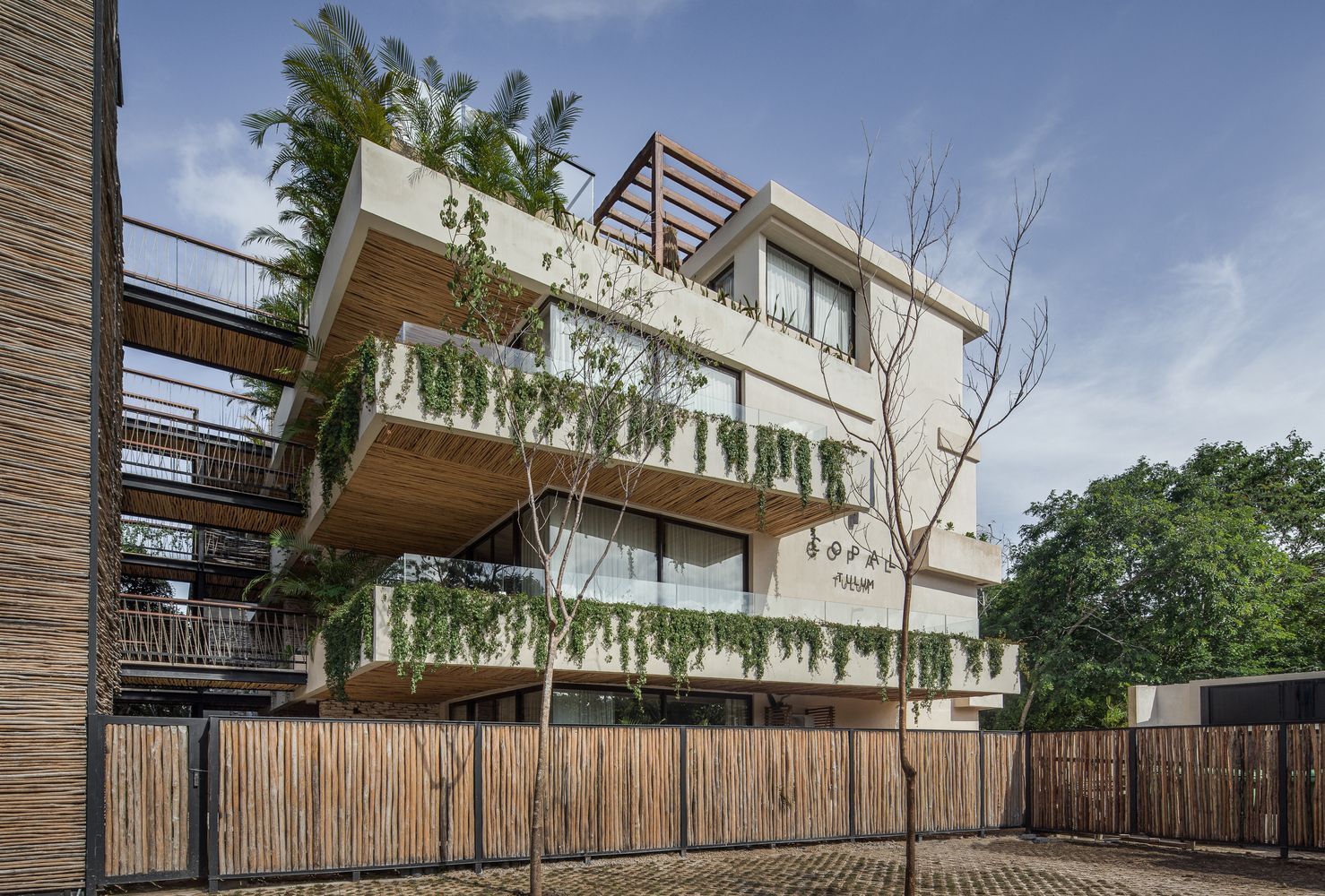 Джунгли в квартире: дружественные к экологии апартаменты построили в Мексике – фото
