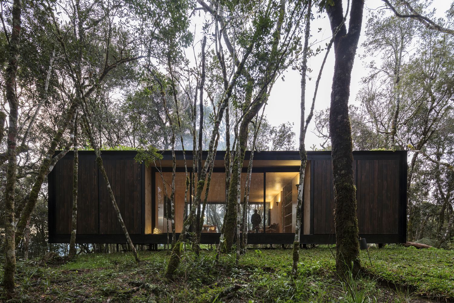 Ідеальне місце для самоізоляції: сучасний дерев'яний будиночок посеред лісу в Бразилії – фото 