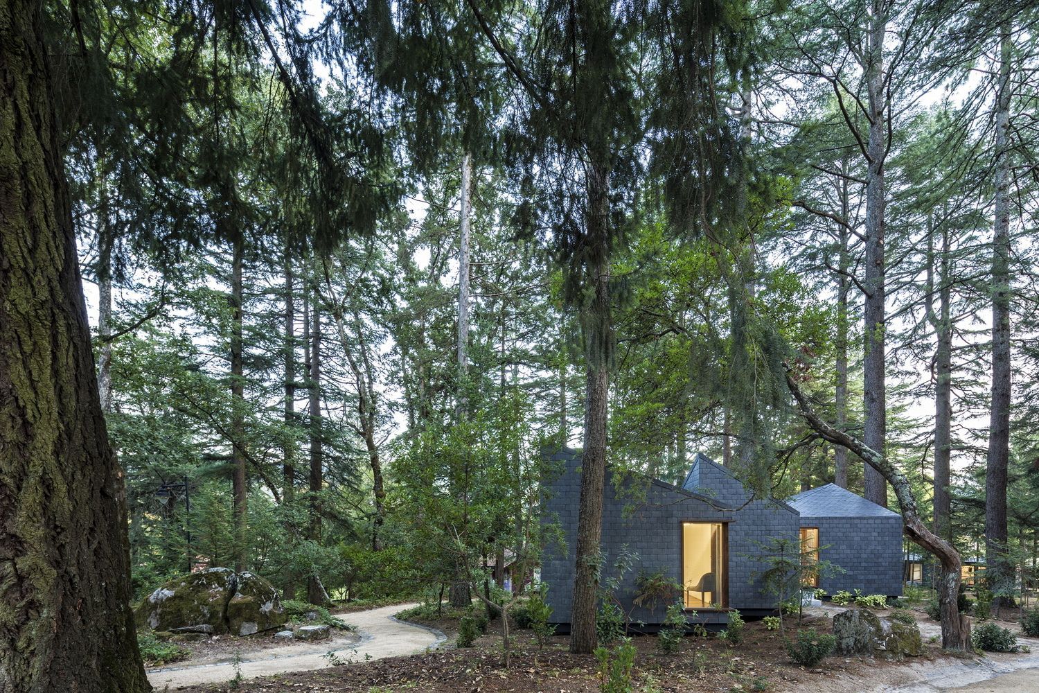 Комфортне життя в лісі: в Португалії туристам пропонують пожити в сучасних бунгало – фото Комфортне життя в лісі: в Португалії туристам пропонують пожити в сучасних бунгало – фото