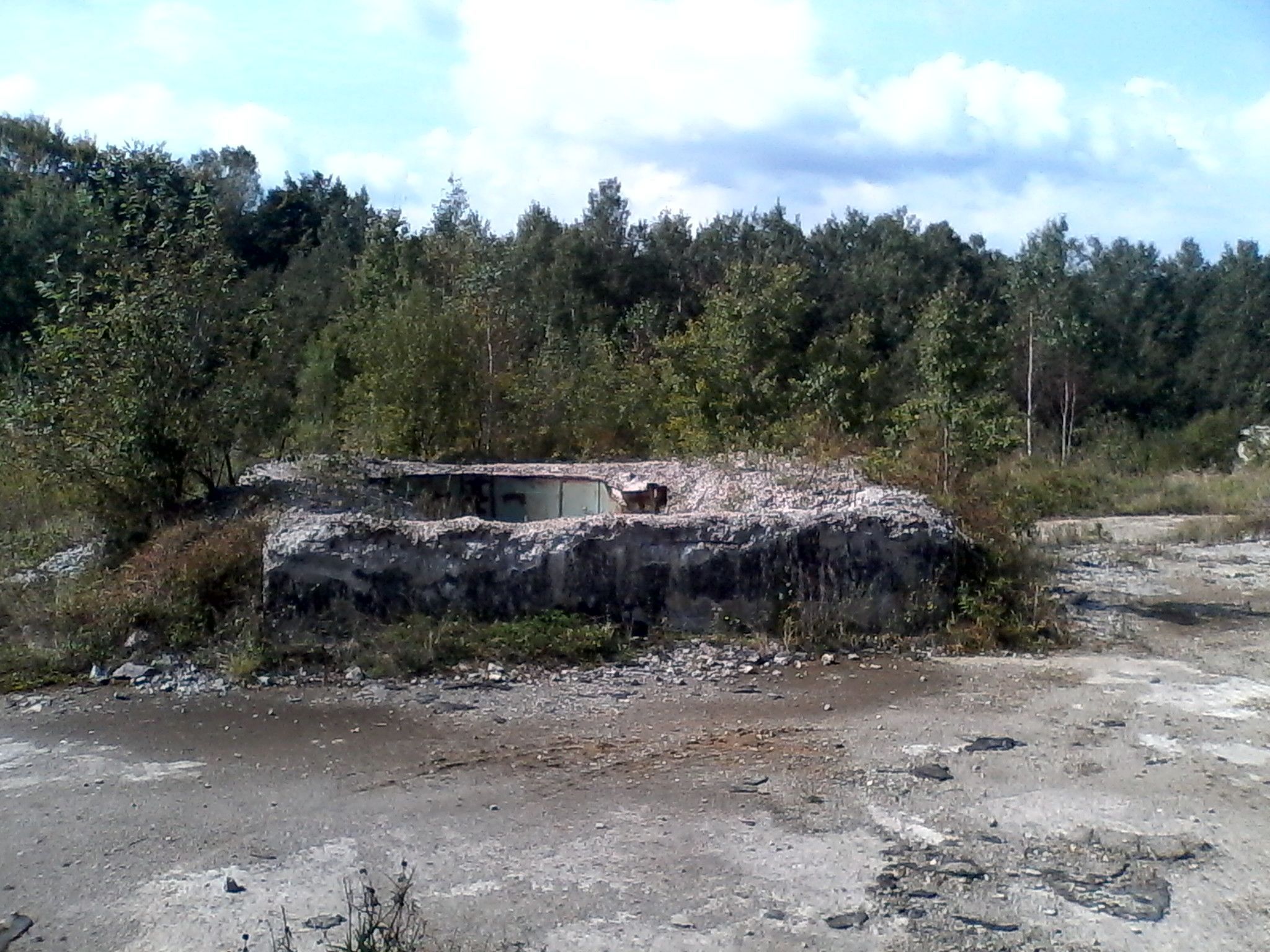 Продажа бункера, Ивано-Франковская область – площадь, особенности