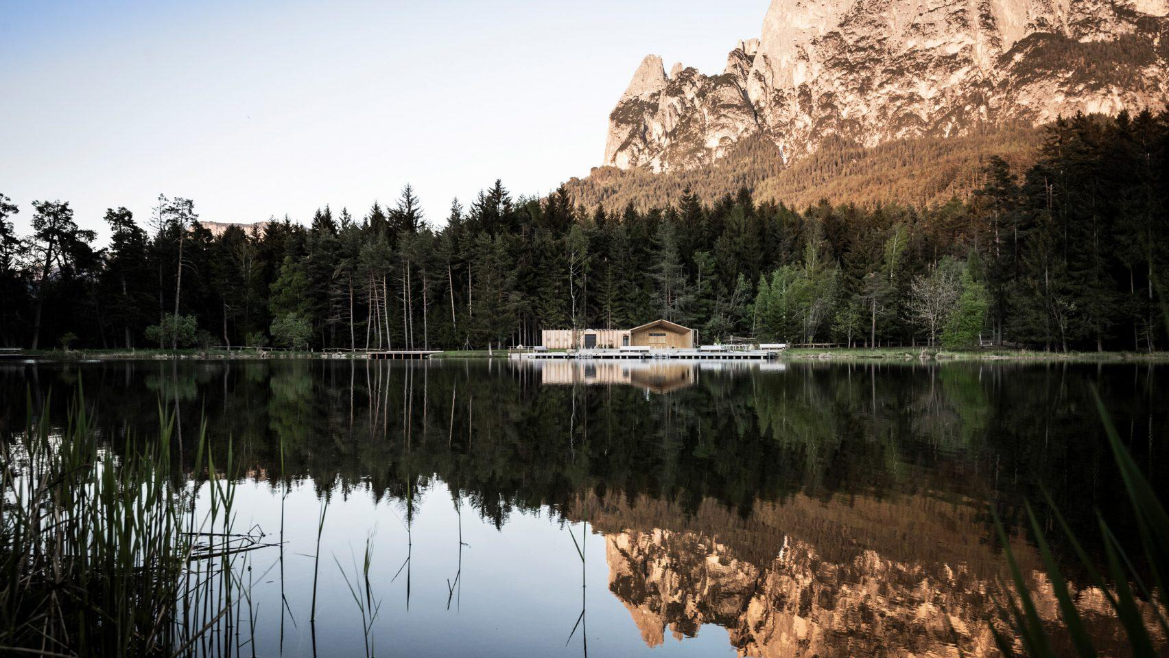 Дерево в дереве: экологическая кофейня посреди невероятной красоты Альп – фото