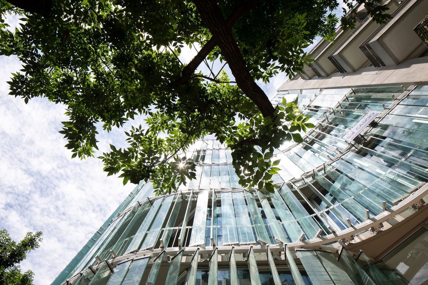 Офис-водопад: в Аргентине построили сооружение, фасад которого напоминает каскад водопада – фото Офис-водопад: в Аргентине построили сооружение, фасад которого напоминает каскад водопада – фото