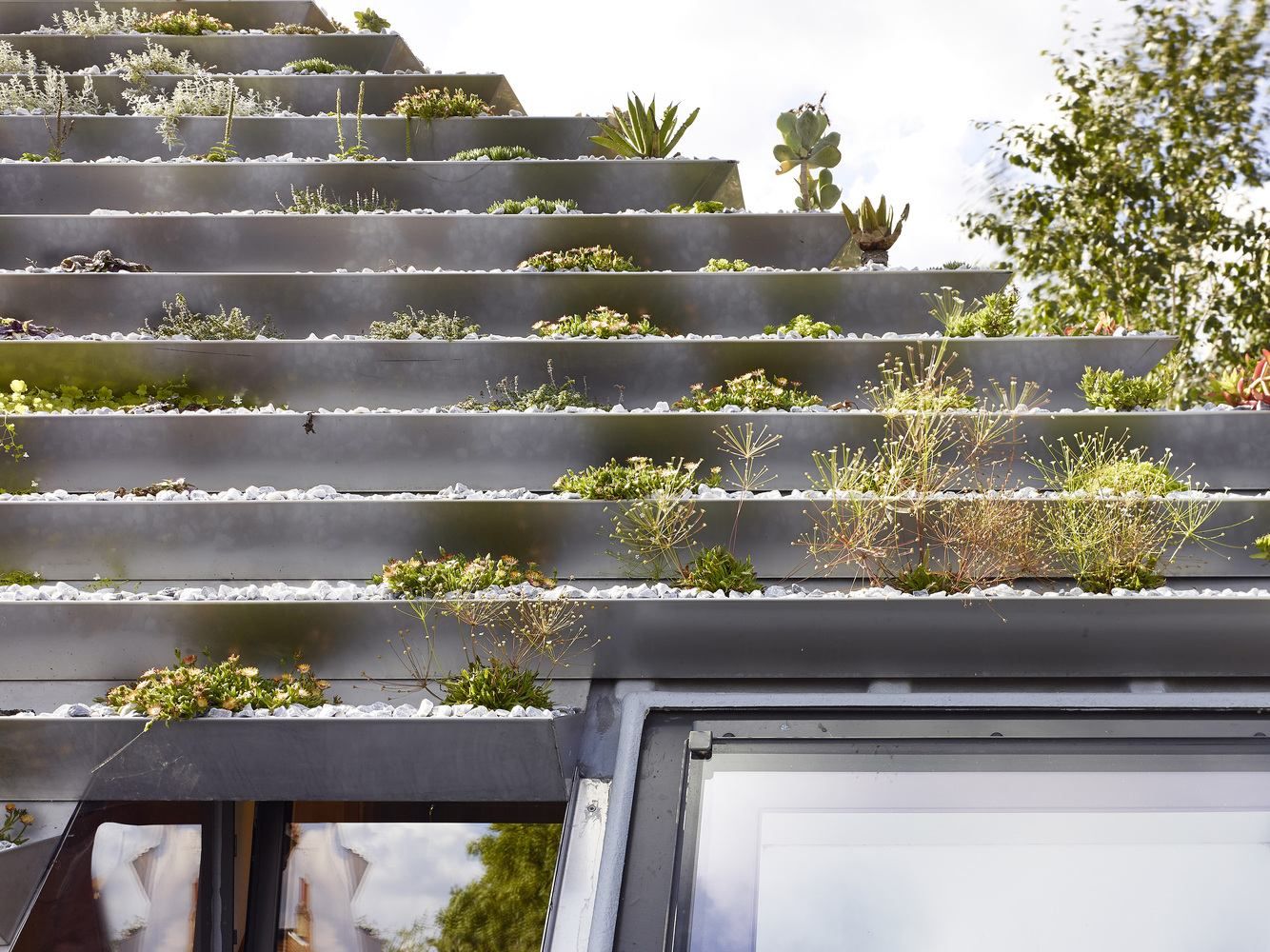 Екологічна піраміда: в Лондоні побудували житло з дахом у вигляді піраміди – фото Екологічна піраміда: в Лондоні побудували житло з дахом у вигляді піраміди – фото