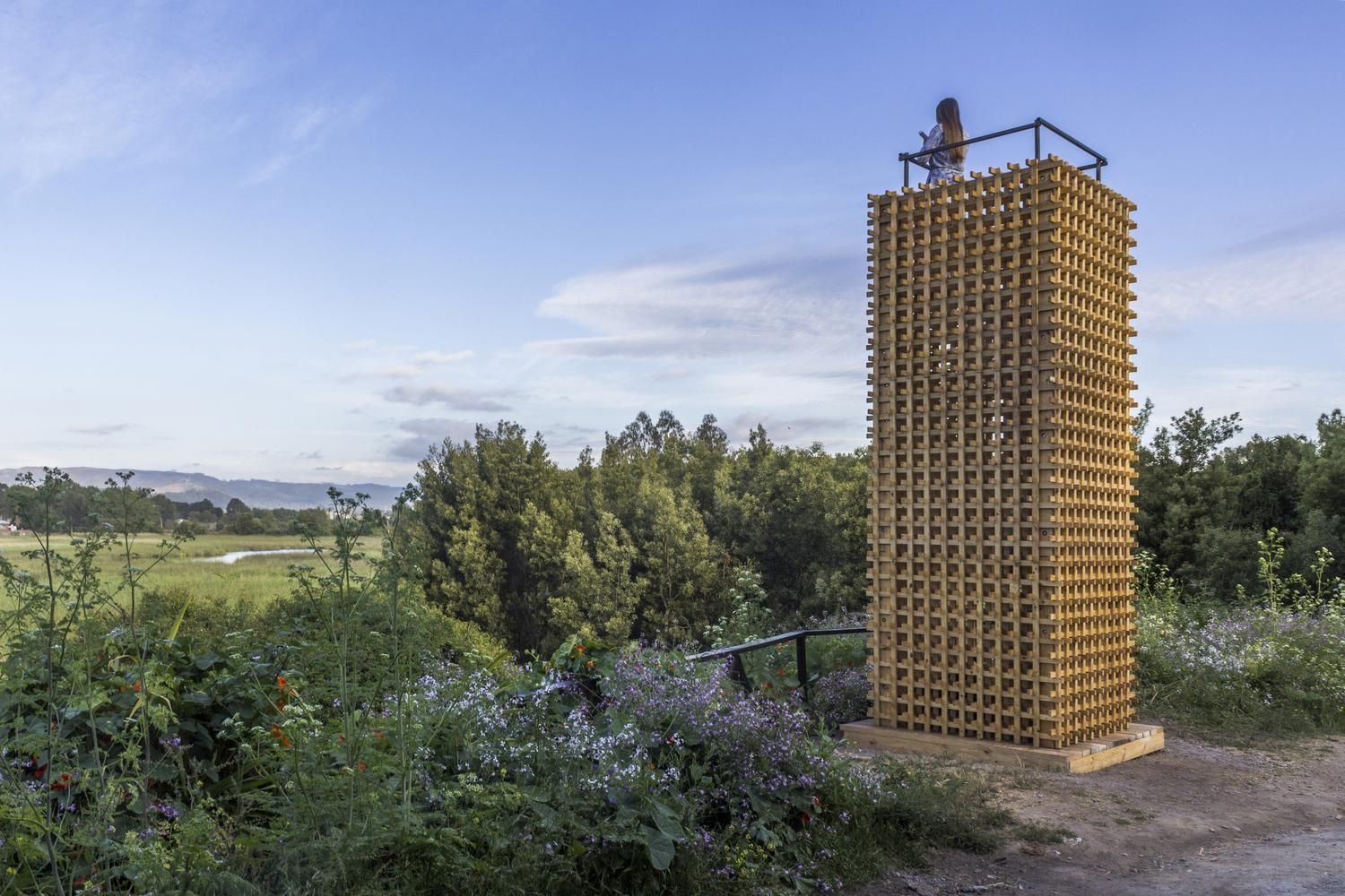 Пустые башни: в Чили построили смотровые башни возле большого болота – фото