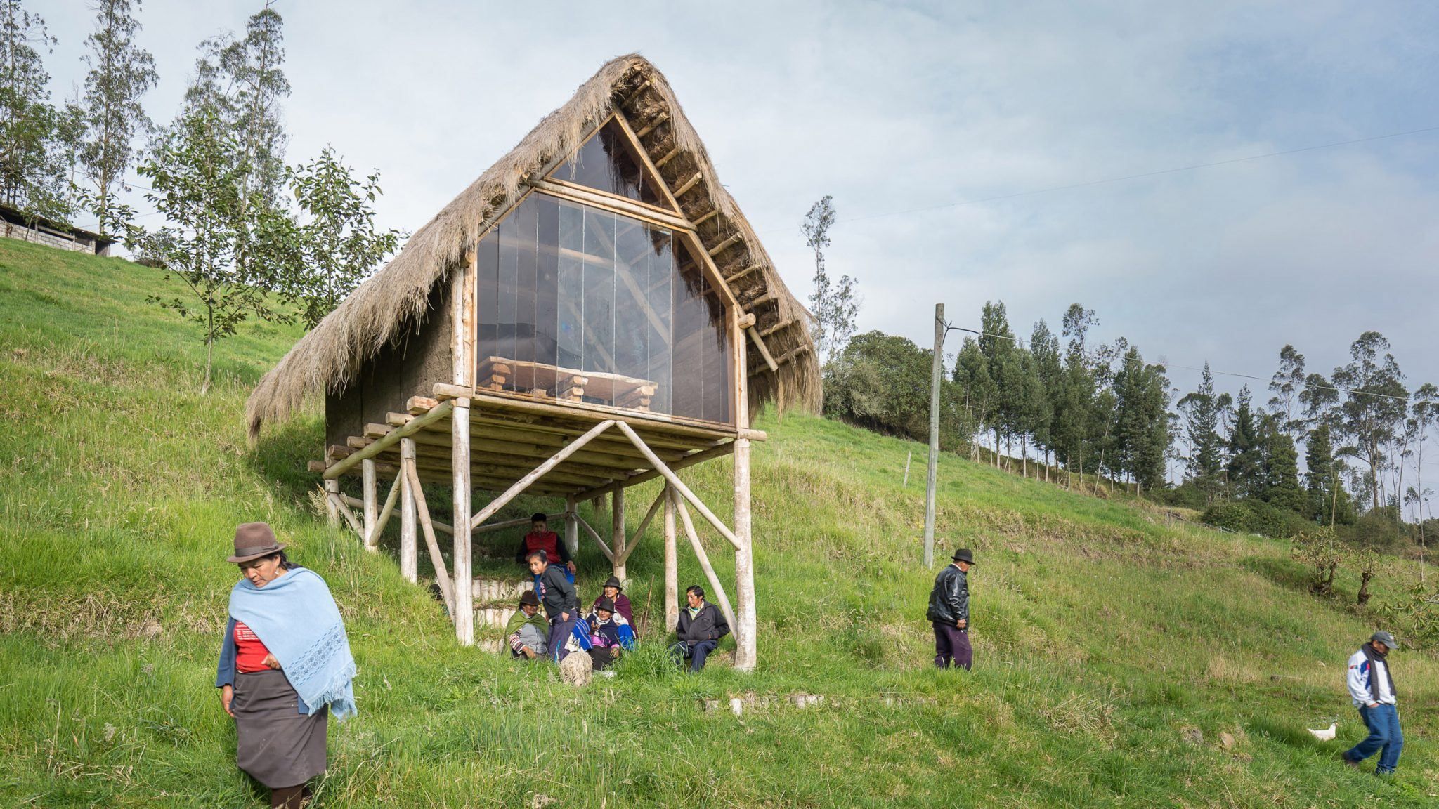 На курячих лапках: в Еквадорі студент побудував собі віддалене житло в селі – причина та фото 