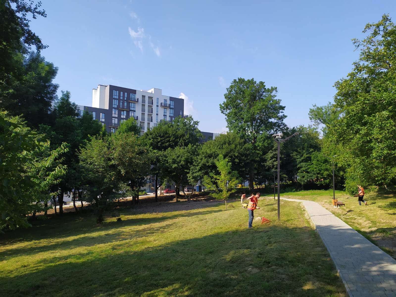 Стиль еко та дерев'яні скульптури: як виглядає новостворений парк у Львові – фото Стиль еко та дерев'яні скульптури: як виглядає новостворений парк у Львові – фото