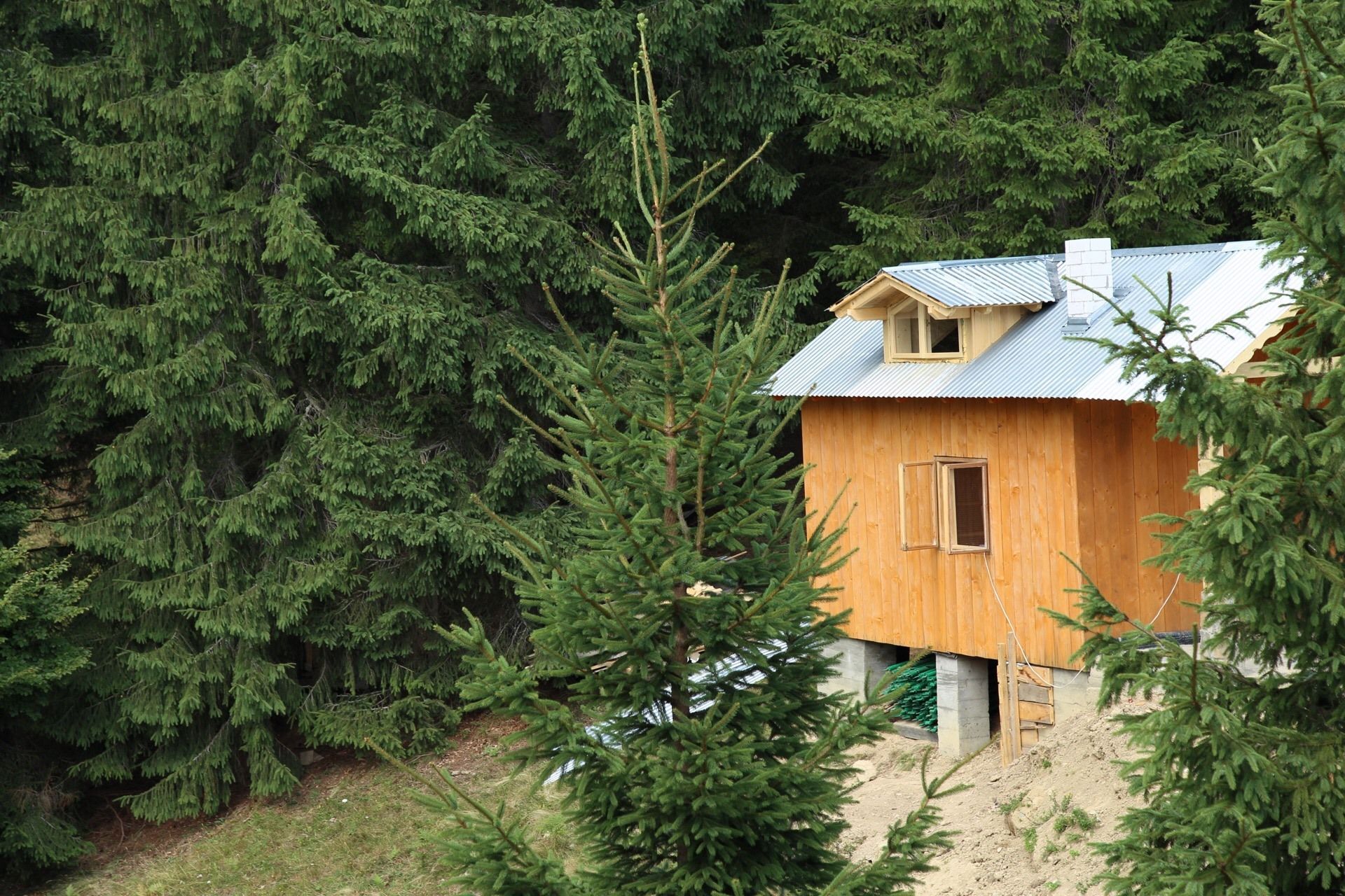 Будиночок в Карпатах – гостьова будівля з видом на Говерлу: фото Будиночок в Карпатах – гостьова будівля з видом на Говерлу: фото