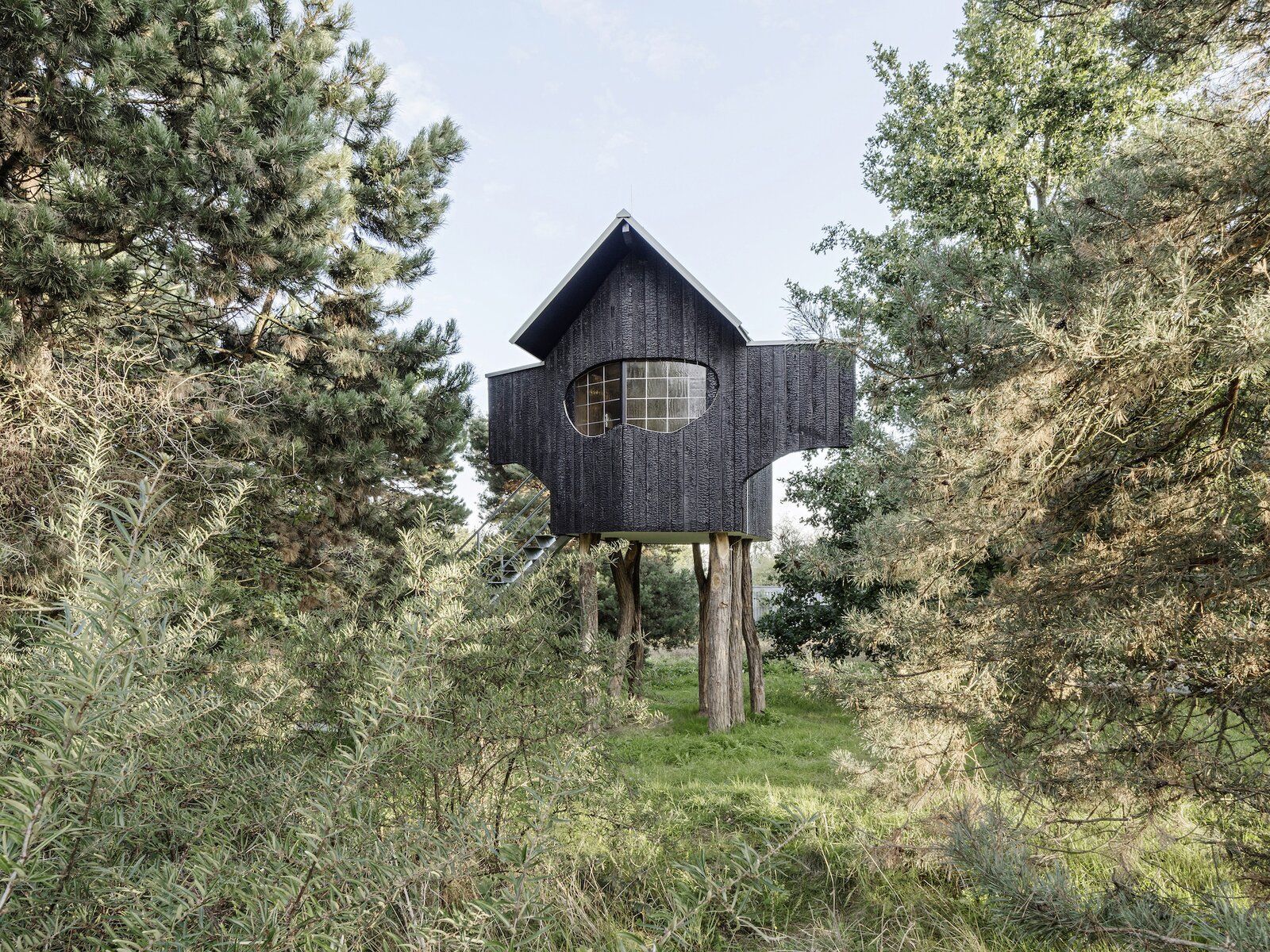 На деревянных ножках: в Японии архитектор построил обугленный чайный домик – фото На деревянных ножках: в Японии архитектор построил обугленный чайный домик – фото