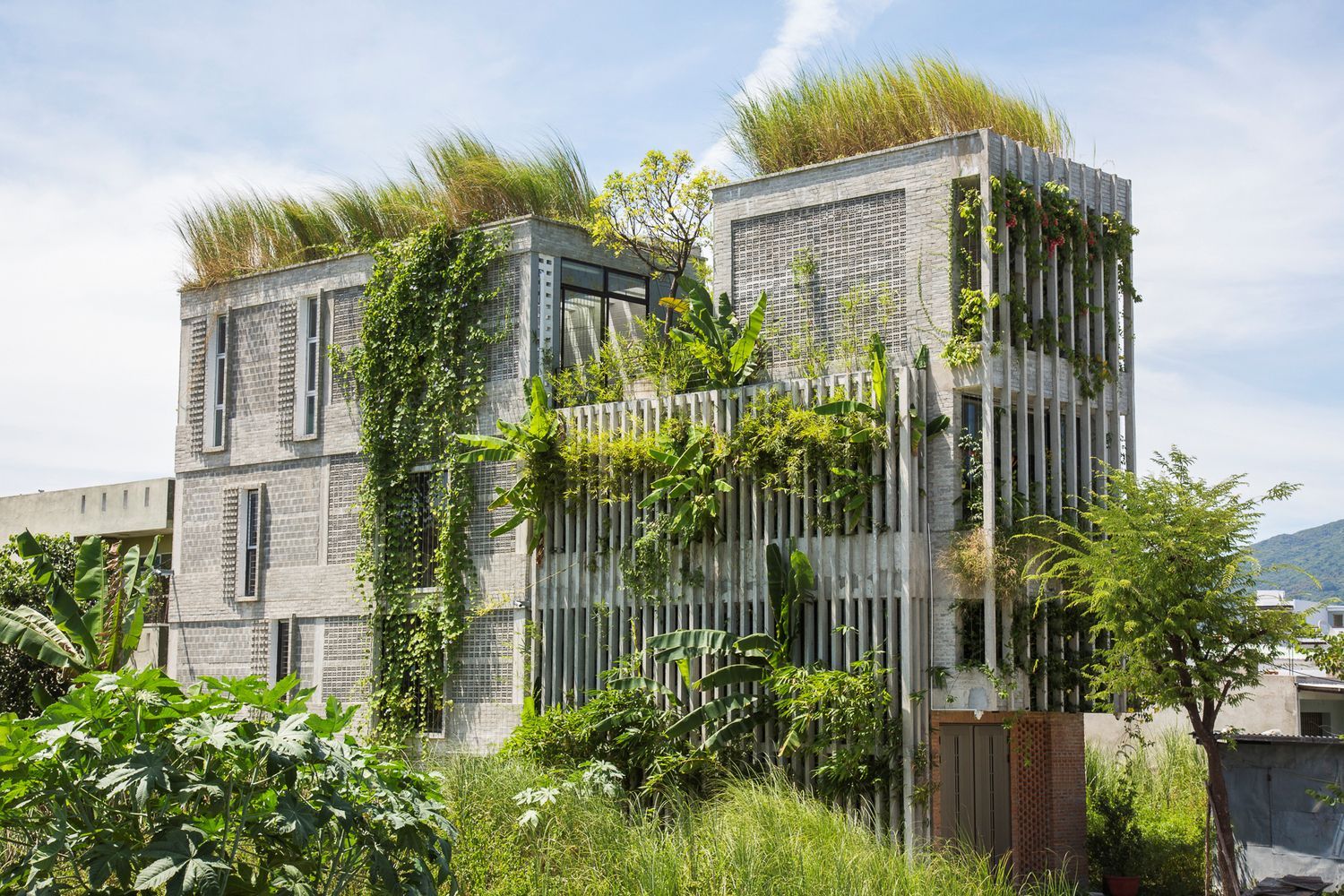 Офис в деревне: во Вьетнаме превратили старый бетонный дом в экологический коворкинг – фото