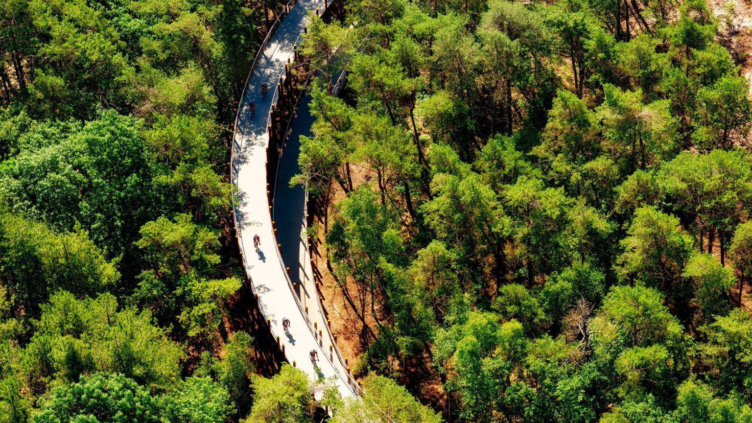 Велосипедна поїздка по деревах: в Бельгії відкрили дивну велосипедну доріжку – фото Велосипедна поїздка по деревах: в Бельгії відкрили дивну велосипедну доріжку – фото