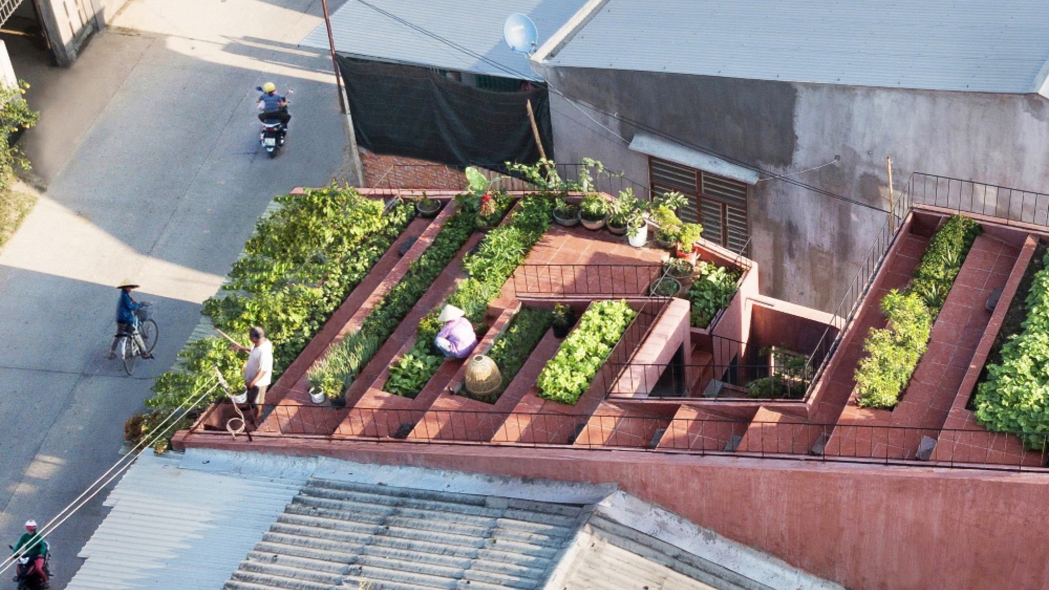 Архитектурный проект 2020: экологический дом с красной крышей во Вьетнаме – фото