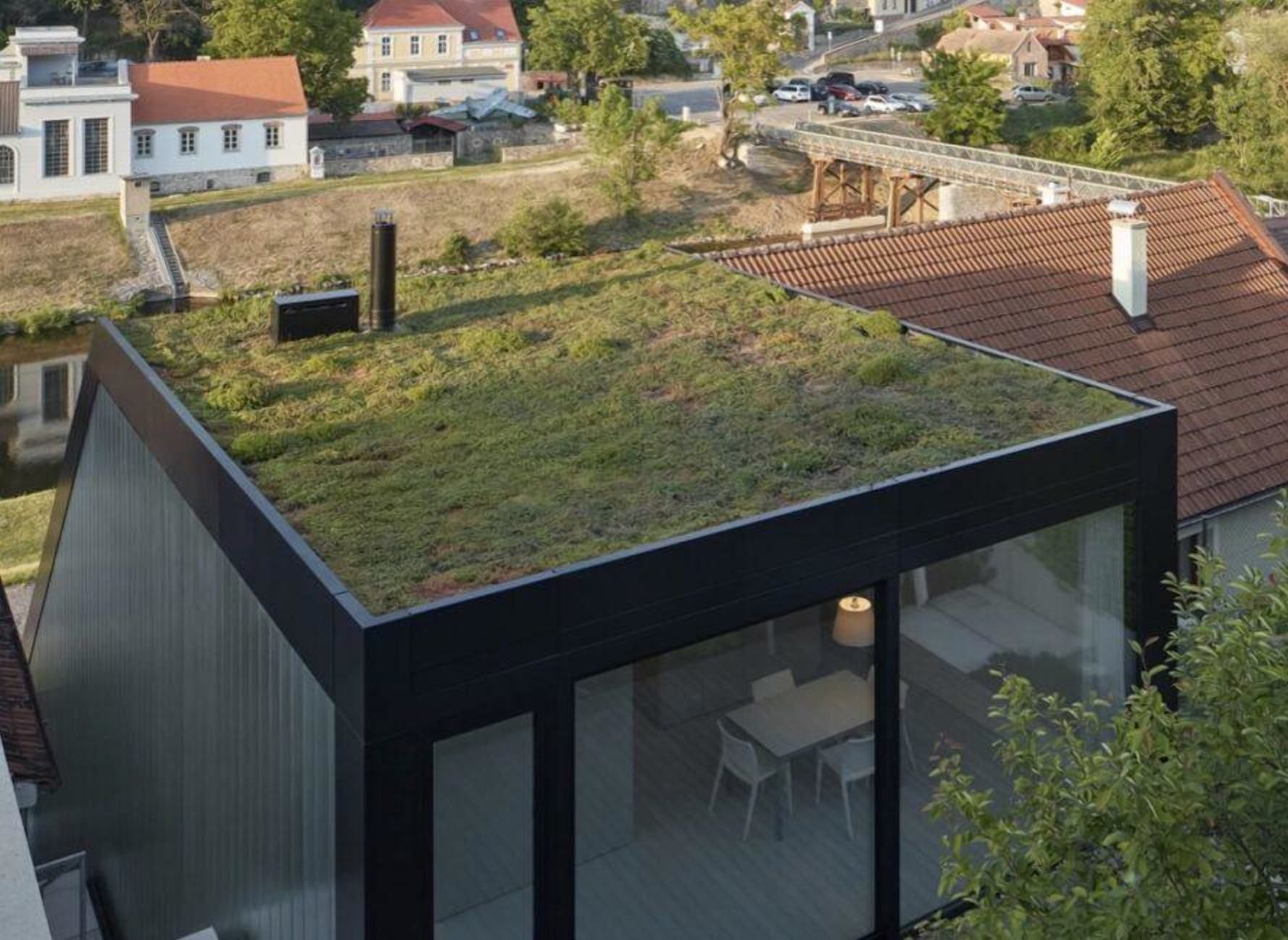 Еко-ідея для свого дому: у Чехії збудували будиночок з зеленим дахом – фото