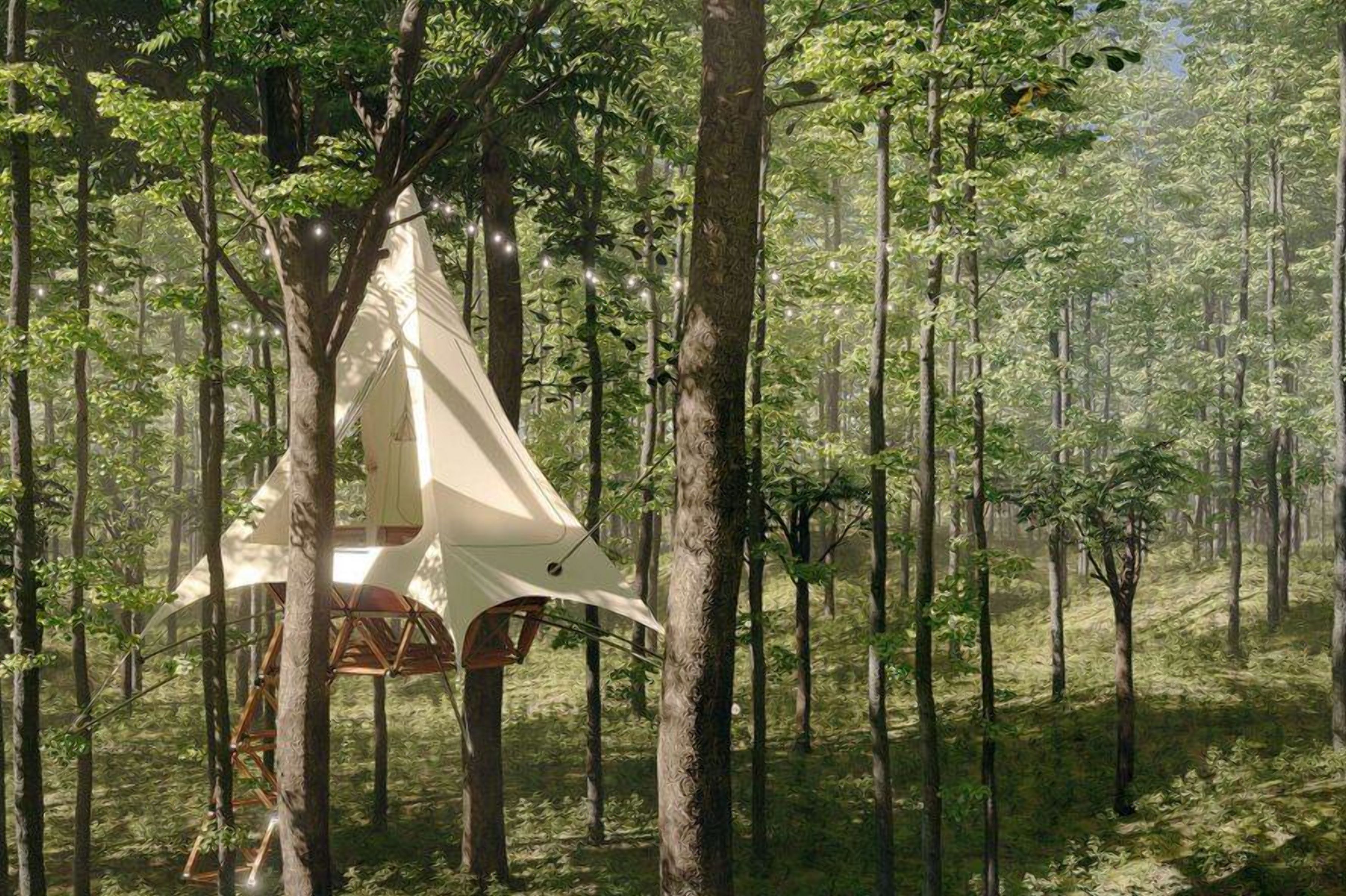 Нерухомість на дереві: фото диво-будинків, які кожен зможе взяти в оренду  Нерухомість на дереві: фото диво-будинків, які кожен зможе взяти в оренду