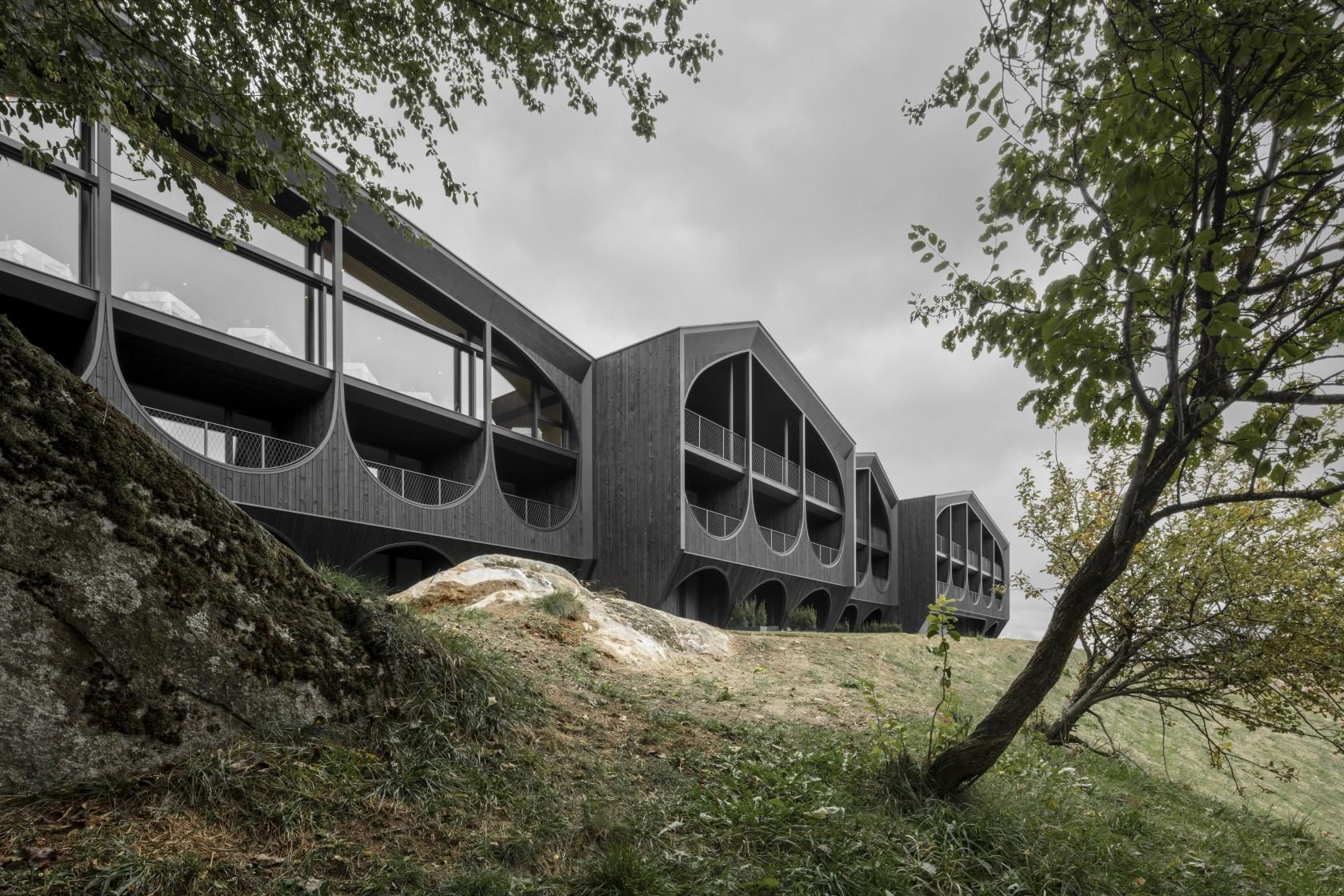 Суворий мінімалізм посеред Альпійських гір: у Тіролі відкрили новий готель – фото 