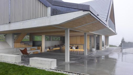 Дивовижне поєднання каменю та дерева: поблизу Цюриха збудували дім-павільйон – фото 