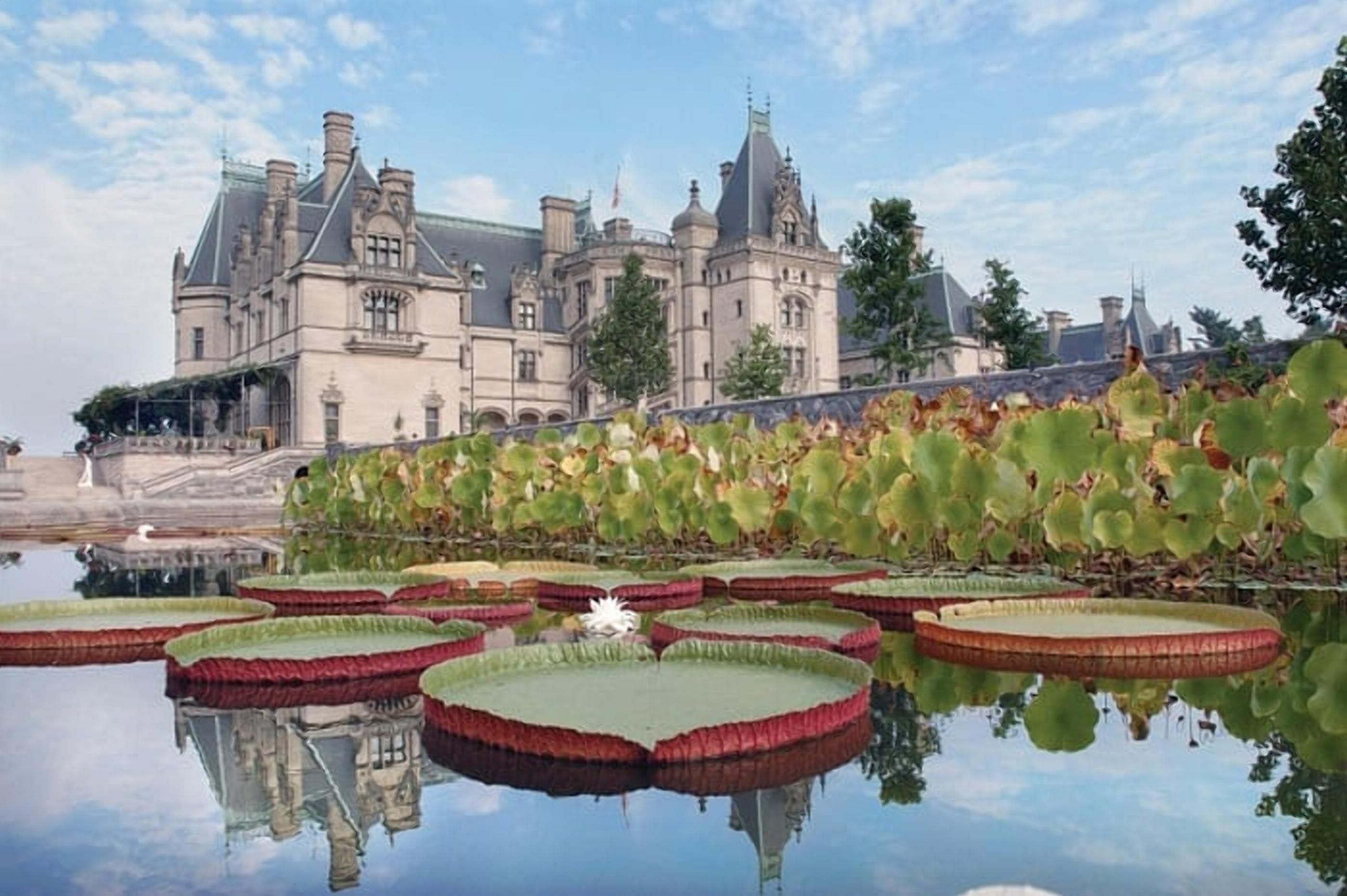 Дім багатенького Річі:  історія та фото найбільшої приватної садиби США Дім багатенького Річі:  історія та фото найбільшої приватної садиби США