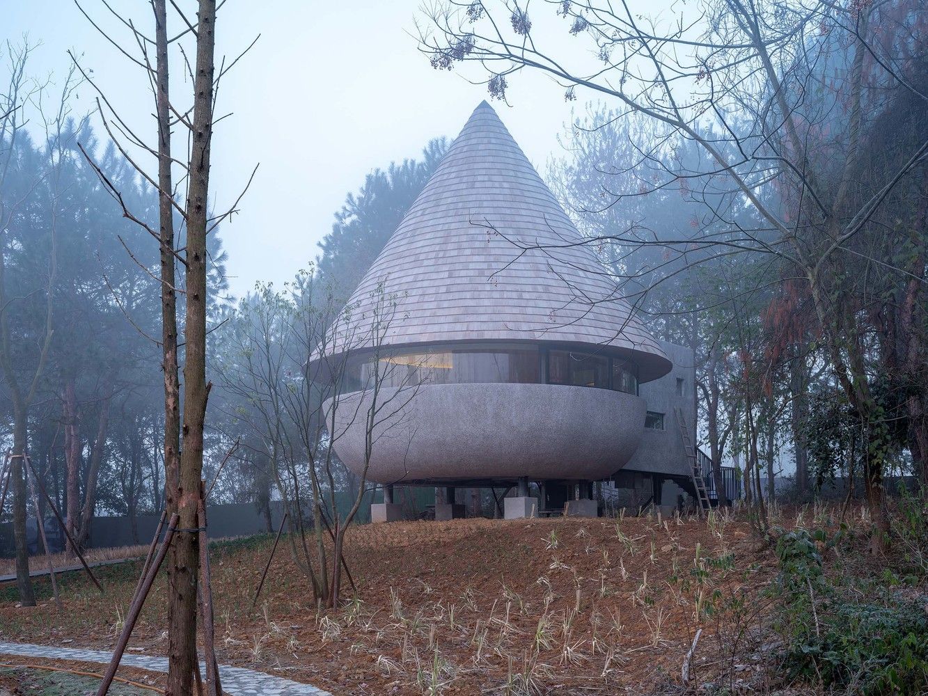 Дивовижний гриб: у Китаї збудували затишний лісовий будинок