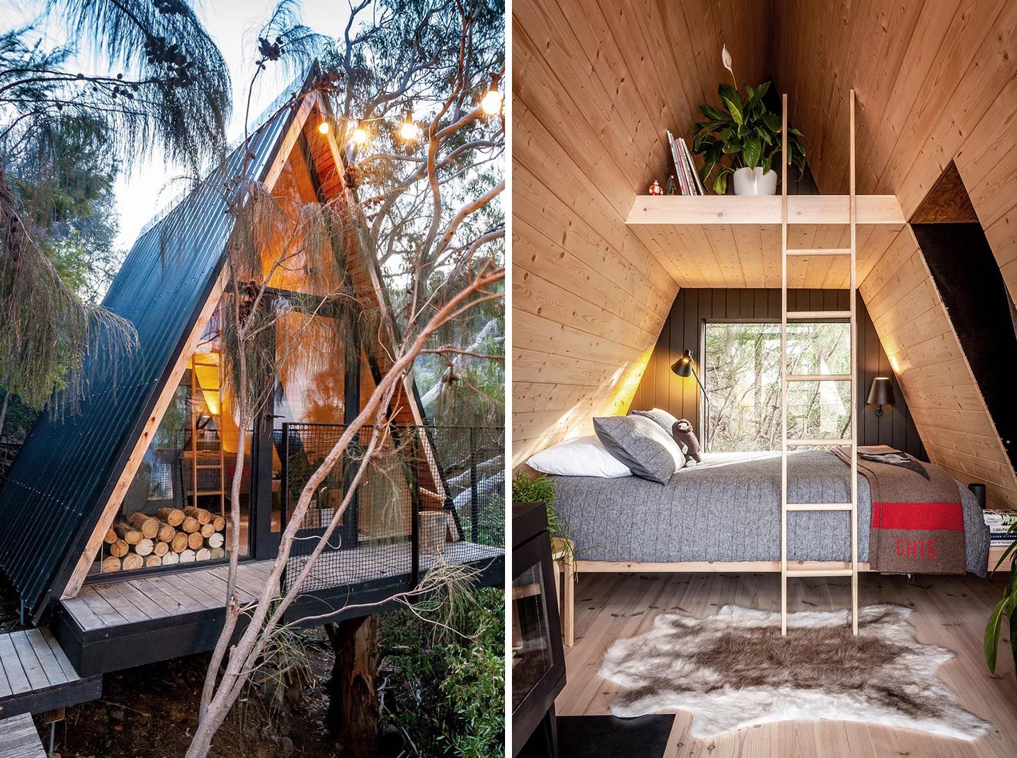 Тайник для детей: в австралийском лесу построили уютную кабину 