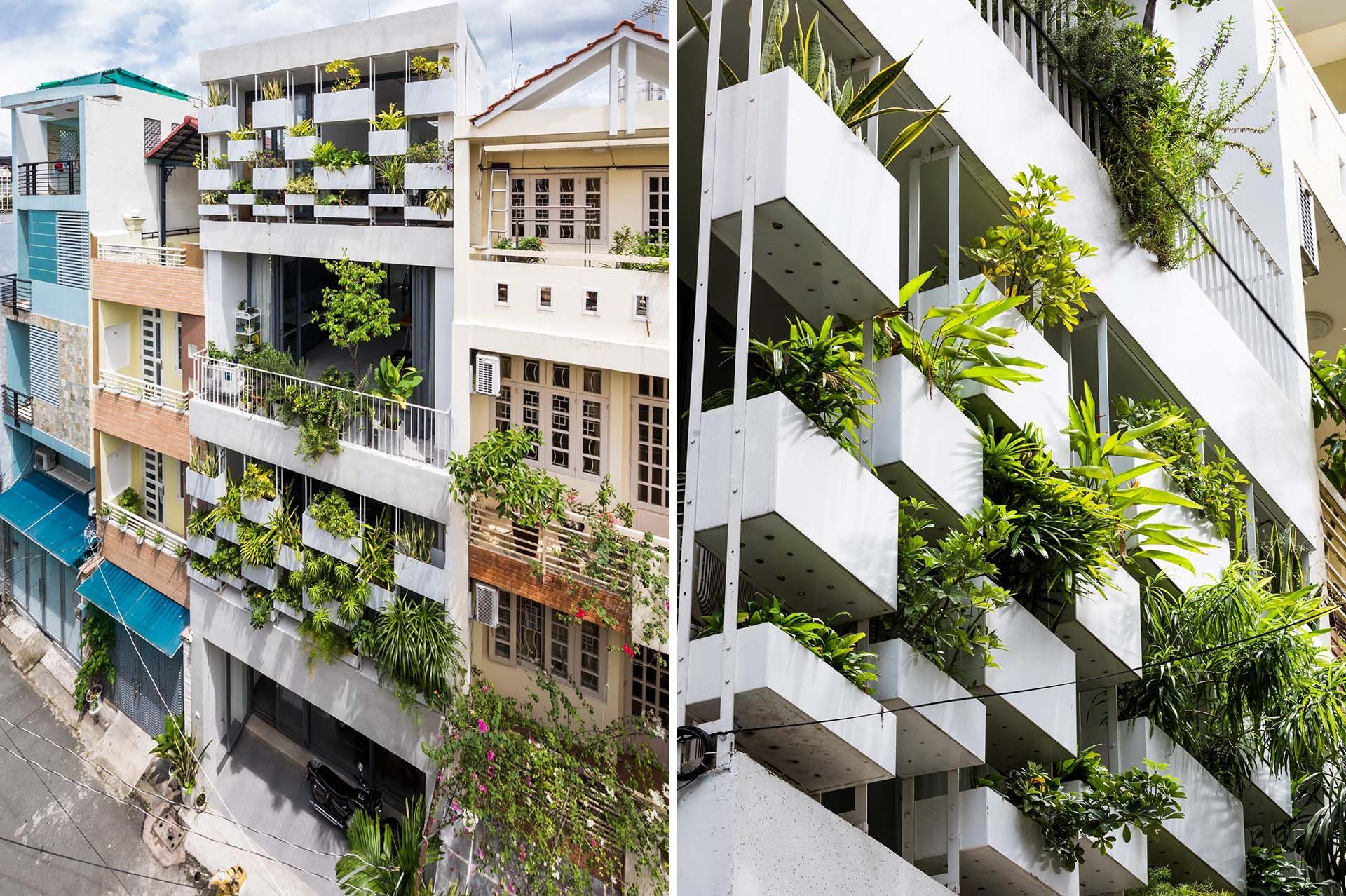 Зелений фасад: незвичайний вигляд в'єтнамської будівлі 