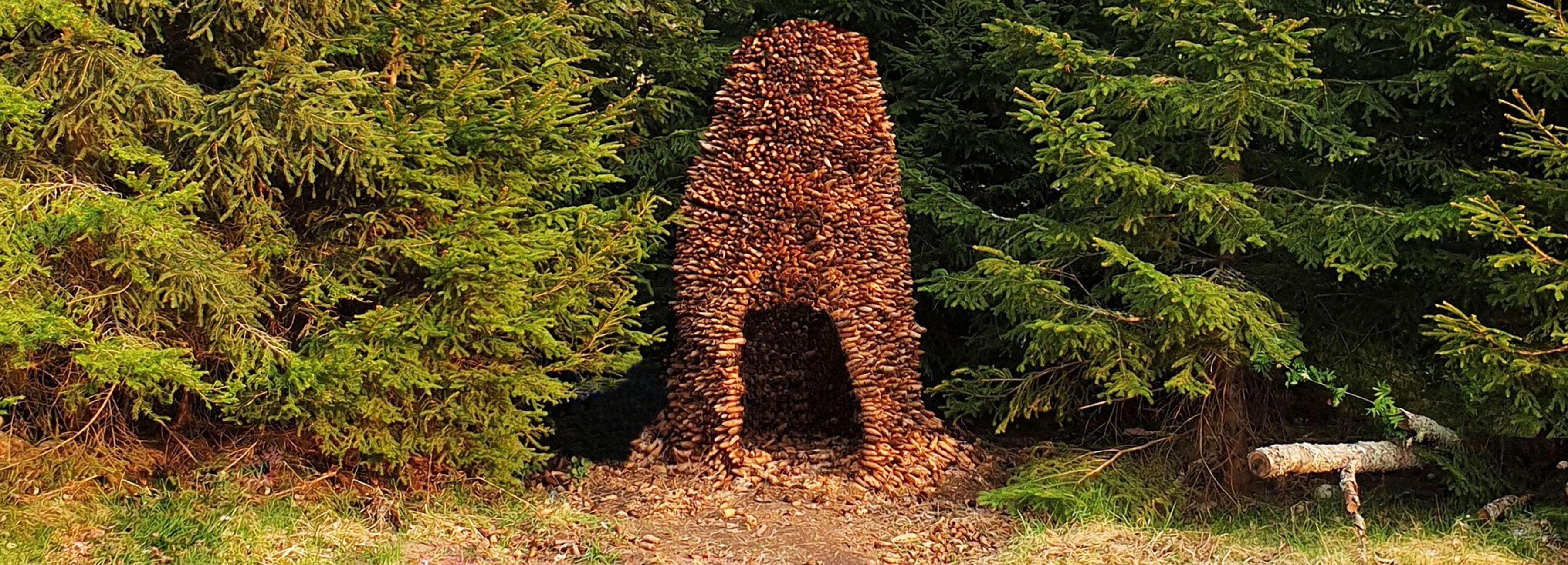 Убежище из шишек: уникальное решение из лесов Швеции Убежище из шишек: уникальное решение из лесов Швеции