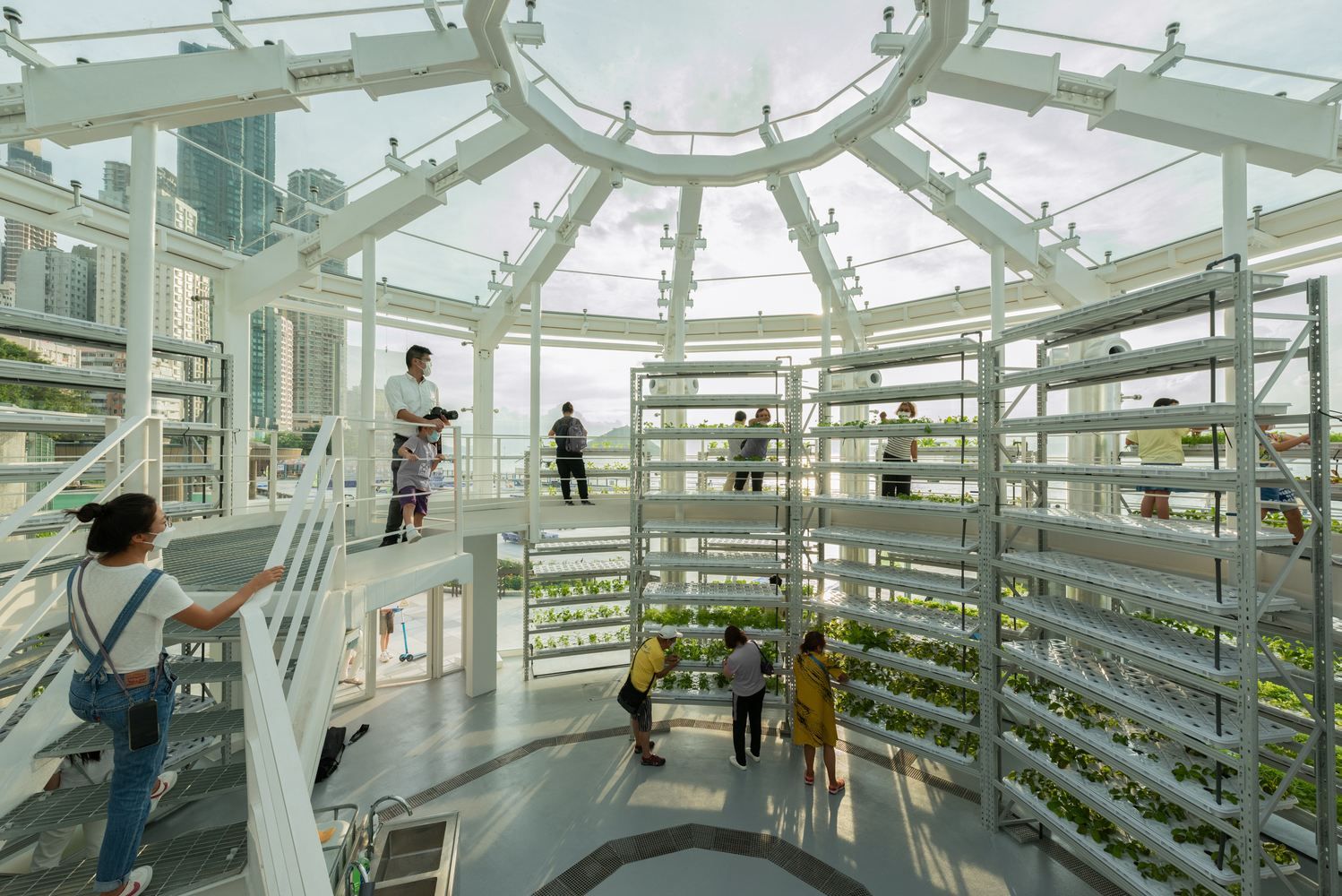 Космічна теплиця із зеленню: в Гонконзі створили унікальний проєкт для міського садівництва