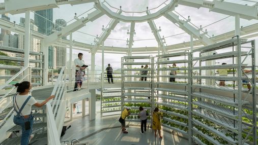Космическая теплица с зеленью: в Гонконге создали уникальный проект для городского садоводства 