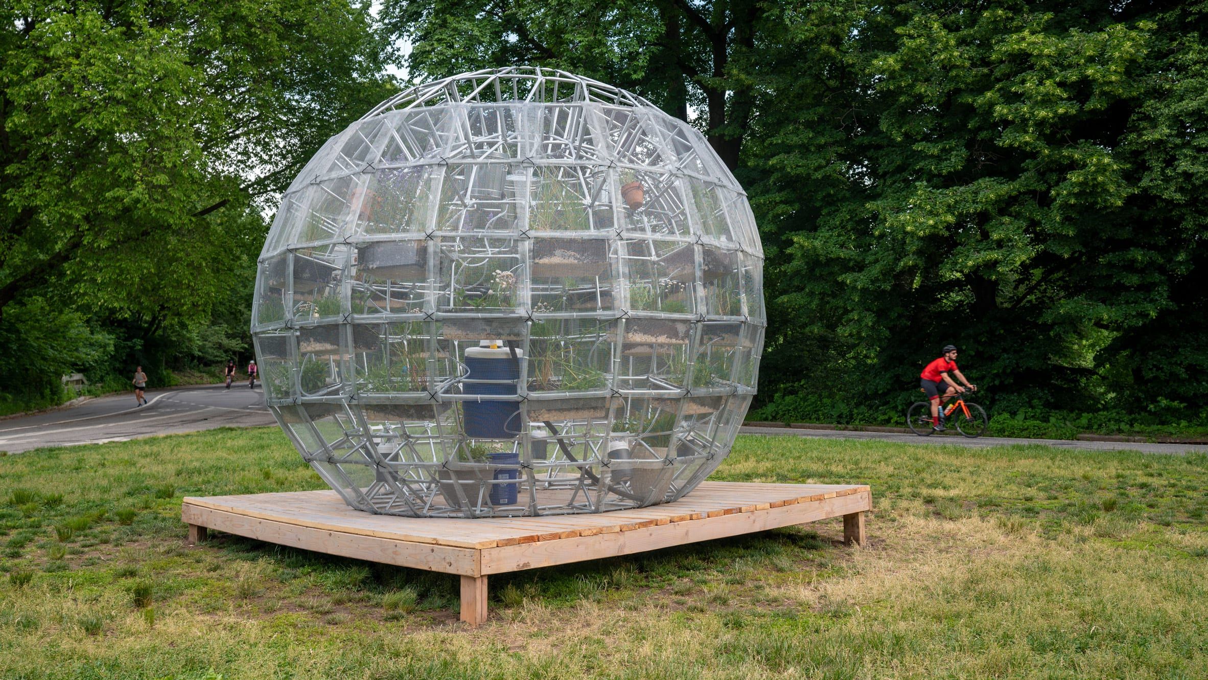 Рослинна куля: інсталяція в Нью-Йорку, яка підкорила мешканців