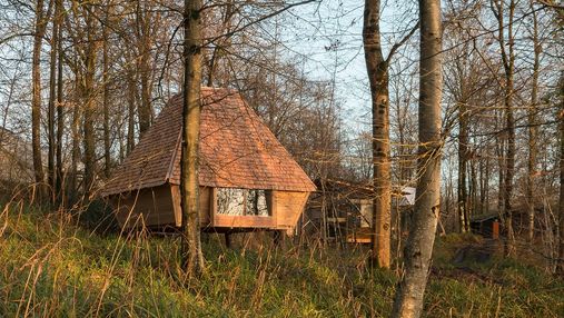 Посиделки в лесу: как сделать уютный домик вместе с друзьями 