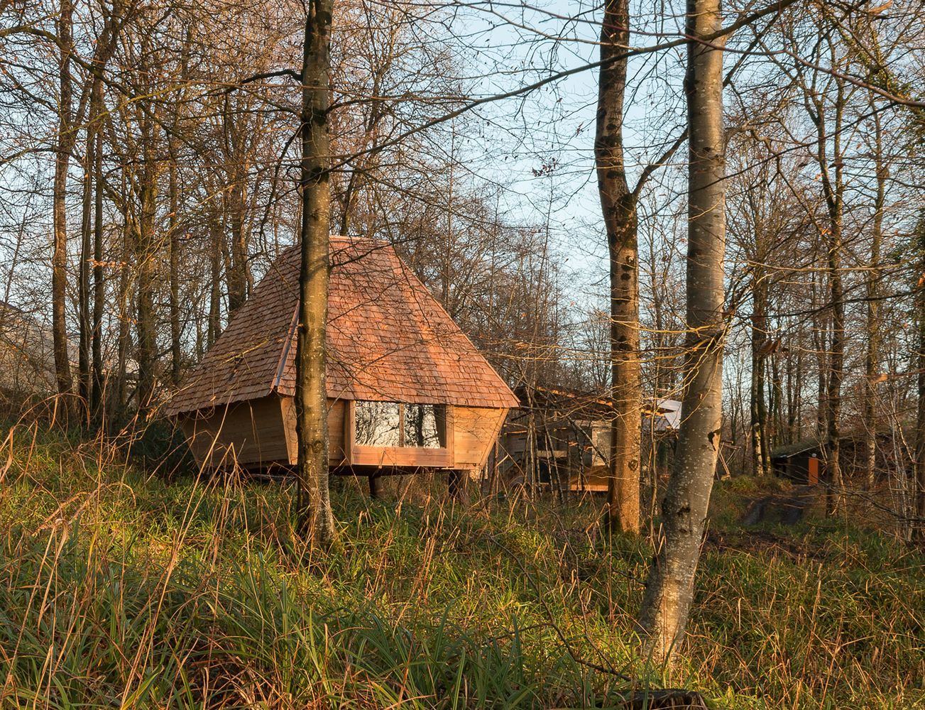 Посиделки в лесу: как сделать уютный домик вместе с друзьями 