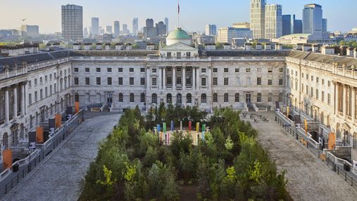 Ліс для змін: дивовижна природна інсталяція в дворі Лондонської бібліотеки