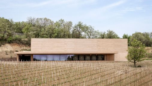 Элегантная винодельня среди виноградника: промышленный проект во Франции 